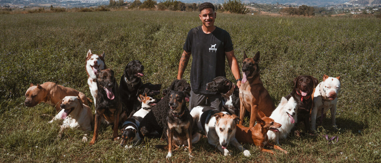 Adrian adiestrador canino y sus perros