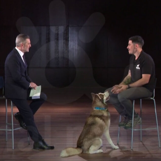 Adrian navarro en canal malaga programa el porque de las cosas
