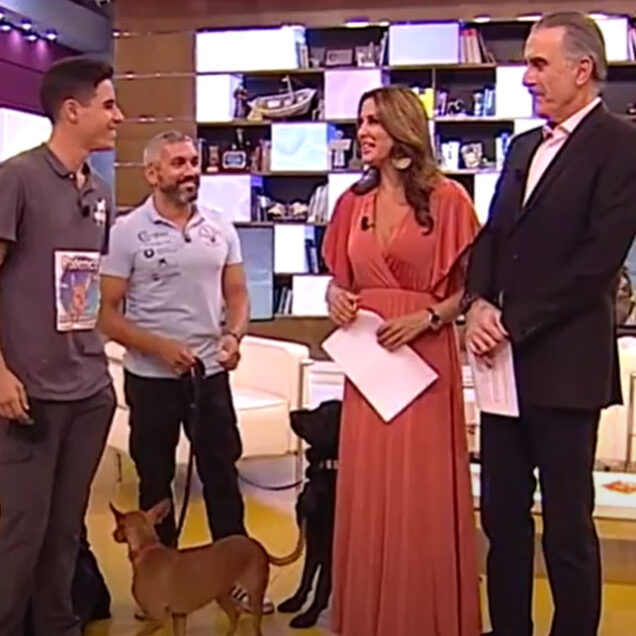 Adrian navarro en canal sur programa de juan y medio