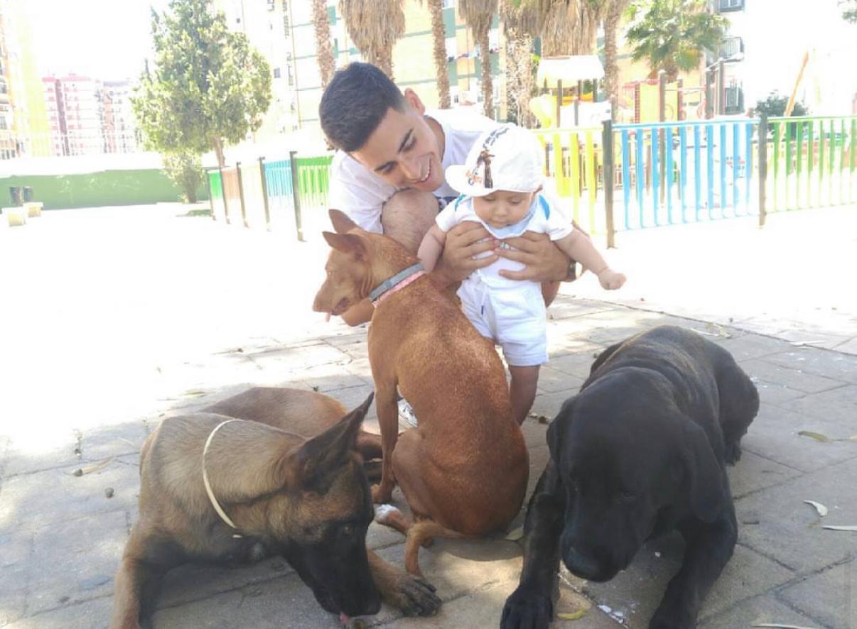 La llegada del cachorro humano