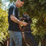 Perro isa 02
