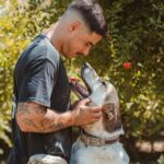Perro willy 03